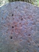 20882_1396184844.jpg