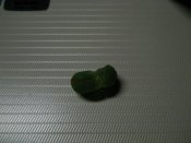 DSCN8117.JPG