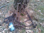 WP_001158.jpg