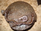 кекс3.JPG
