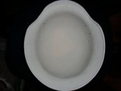 DSC01643.JPG
