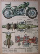 rys61.jpg