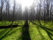 IMG_20140406_091401.jpg