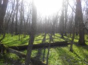 IMG_20140406_091404.jpg