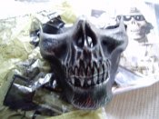 P3100009.JPG