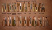 распил патронов 7,62х54.jpg