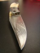 DSC01918.JPG