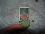 DSC02539.JPG