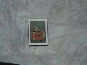 DSC02535.JPG