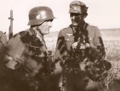 SVT-40 II.jpg