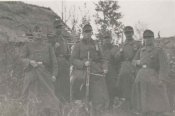 Degtjarjow DP 1928 in German use -.jpeg