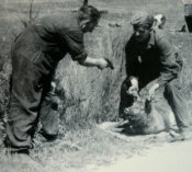 0117e21acfb2.jpg