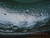 DSCN0553.JPG