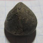 IMG_8984.JPG