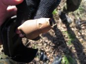 IMG_1165.JPG