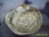 DSCI0645.JPG