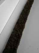 DSCN4543.jpg