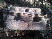 WP_001210.jpg