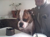 Snapshot_20130411_20.JPG