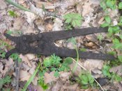 DSCN5548.JPG