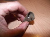 DSCF3072.JPG