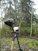 SANY0008 (8).JPG