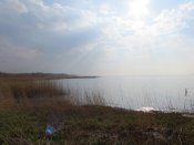 IMG_1927.JPG