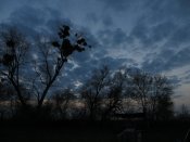 IMG_1955.JPG