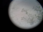 20140413_175437.jpg