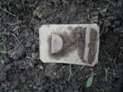 SDC16034.JPG