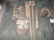 SDC16017.JPG