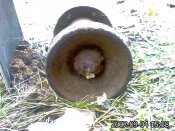 IMG03.jpg