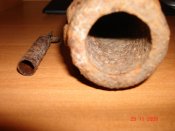 DSC01808.jpg