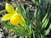 IMG_1355.JPG