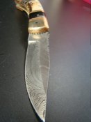DSC01949.JPG