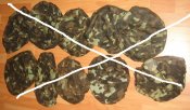 DSC06492.JPG
