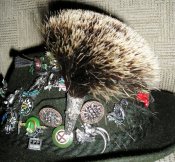 Gamsbart.JPG