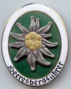 горный проводник.jpg