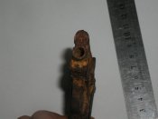 P1010010.JPG
