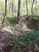 IMG_20140422_104128.jpg