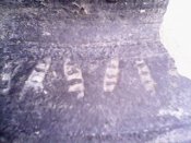 IMG0331A.jpg