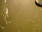 IMG_1936.JPG