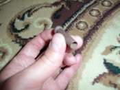 100_4422.JPG