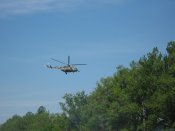IMG_8950.jpg