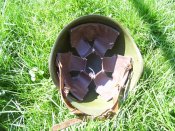 100_2427.JPG