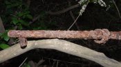 DSCF4487.JPG
