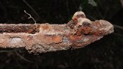 DSCF4493.JPG