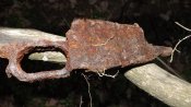 DSCF4501.JPG