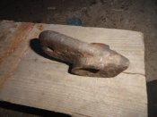 DSC04796.JPG