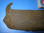 IMG_1261 (Small).JPG